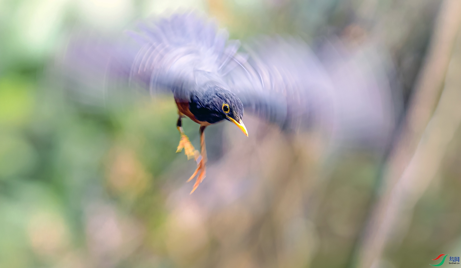 _DSC2234==1x.jpg