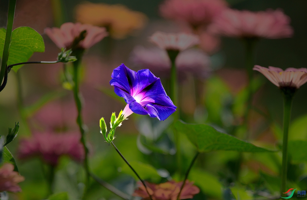 _A5A8102-1y.jpg