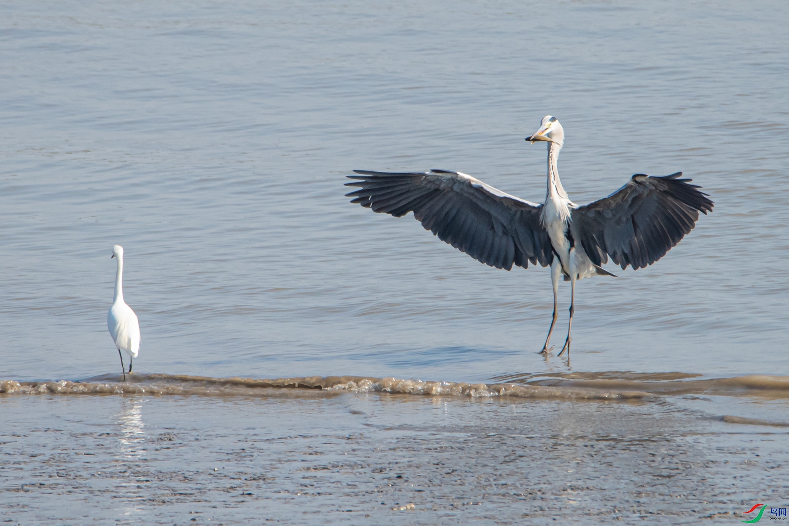 DSC_5330.jpg