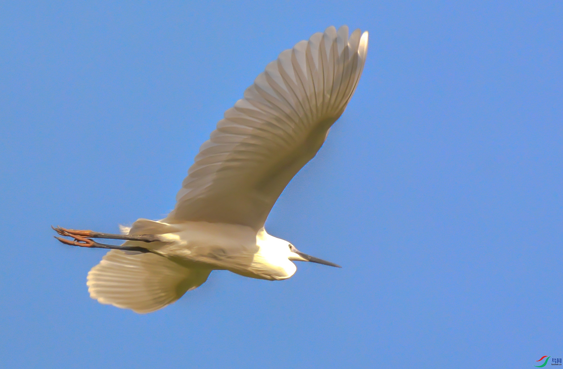 DSC_0113.jpg