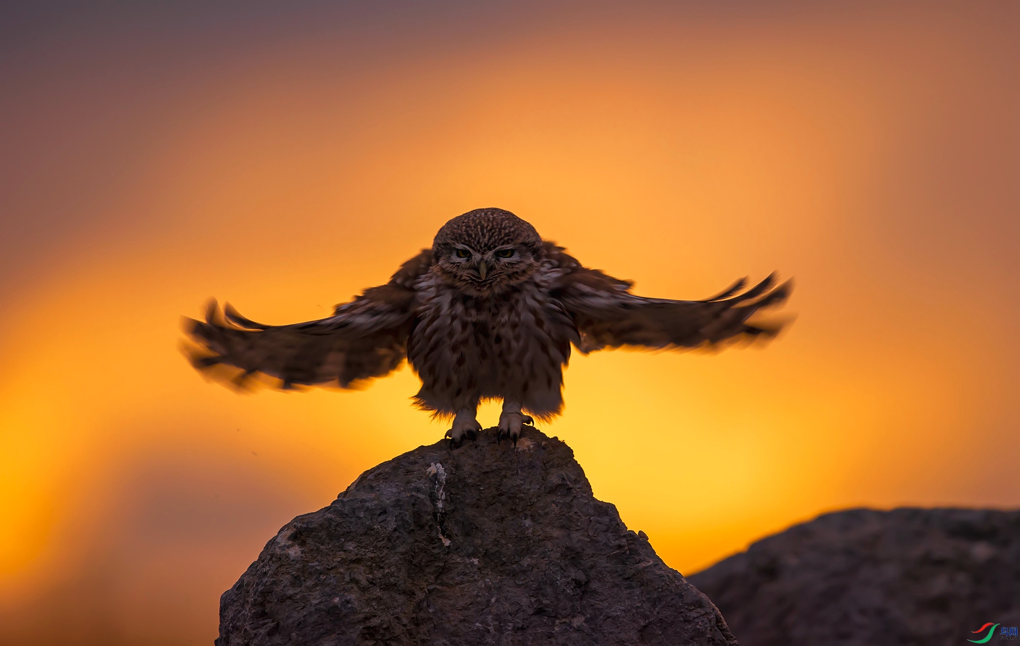 ���Ƹ�С�^