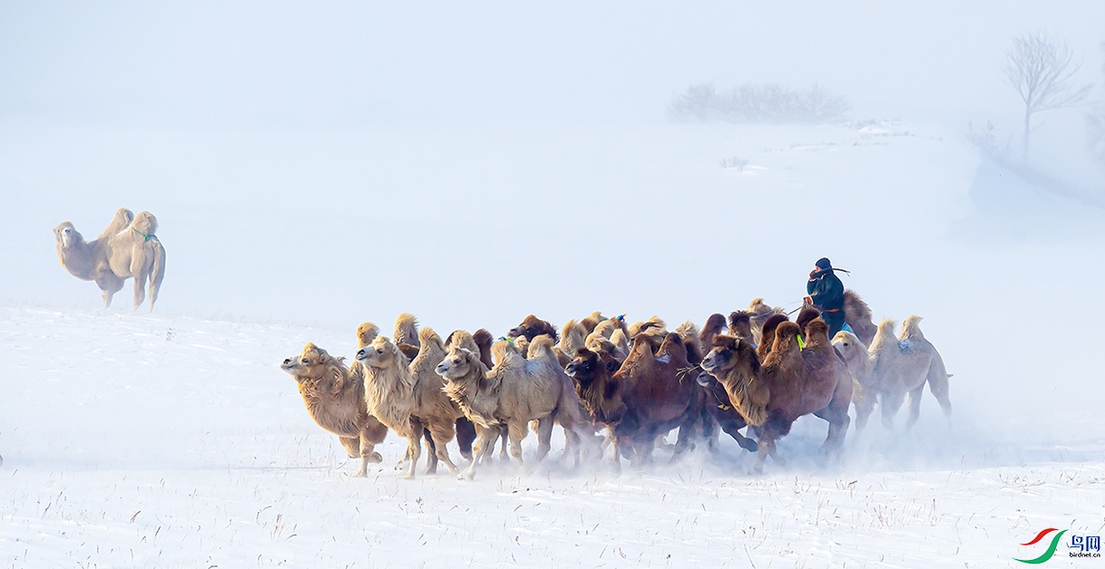 ���������ɹ�������ͳ��