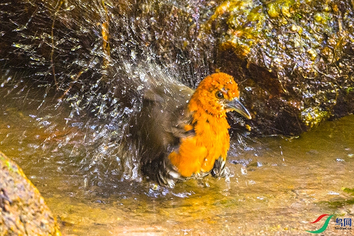 ��LPY_6542.jpg