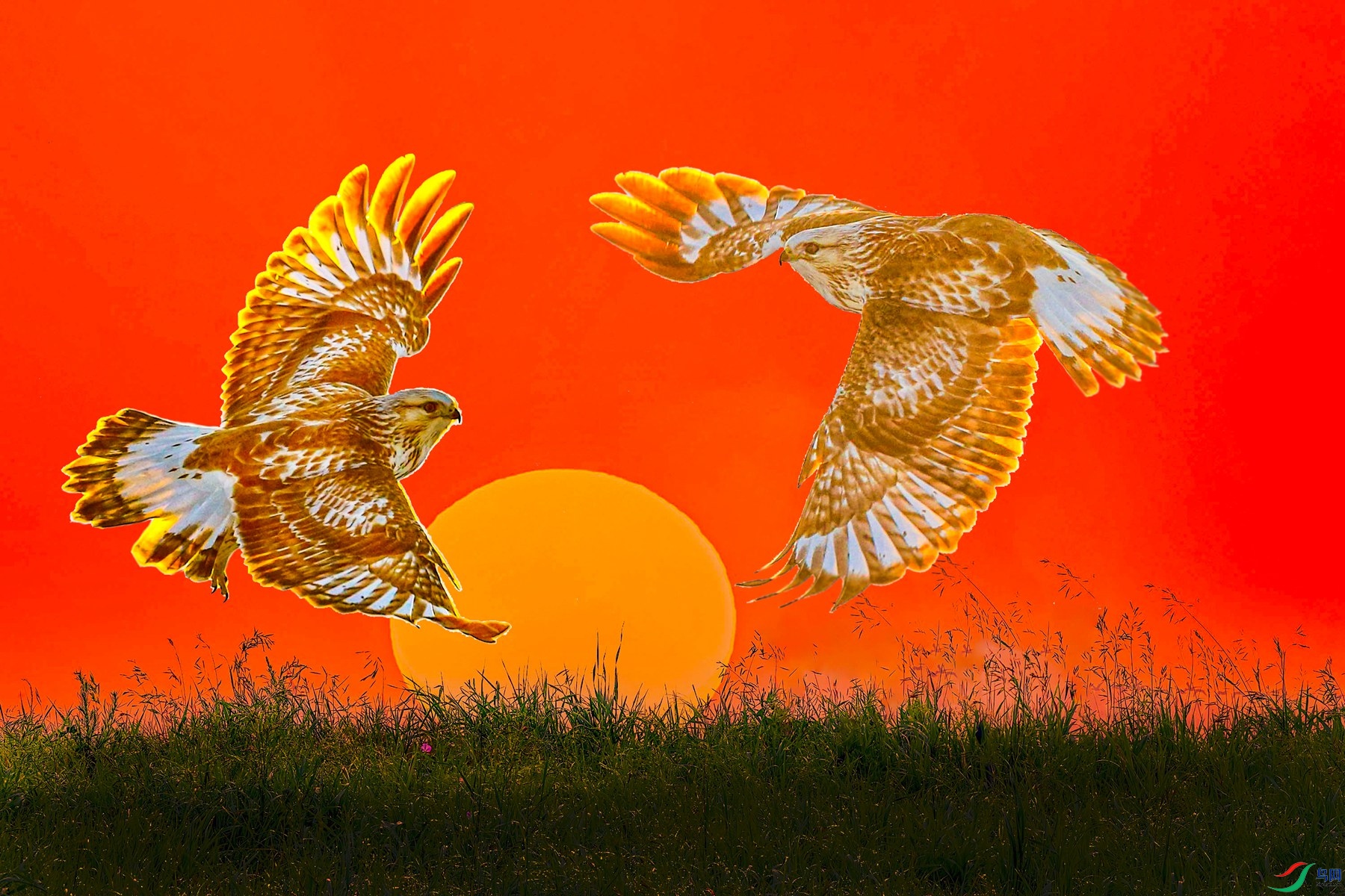 ë������