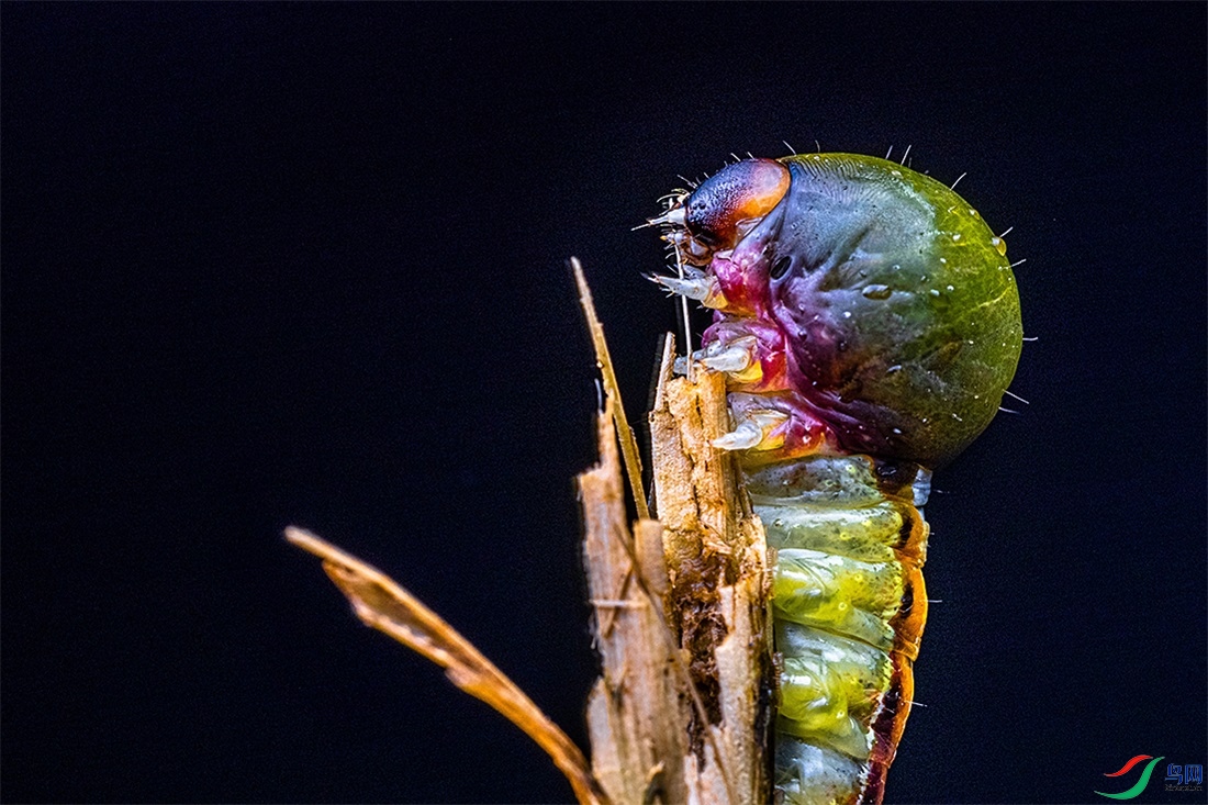 93P1A4284.jpg