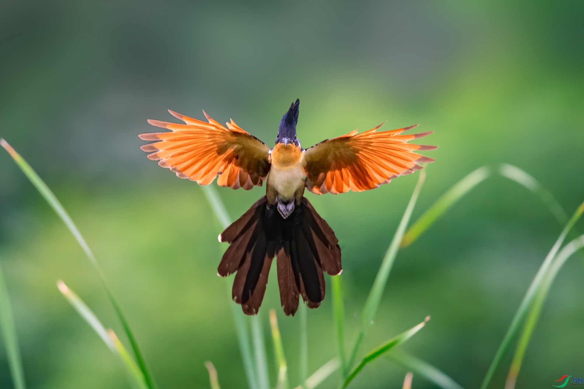 ��ƬDSC_2031.jpg