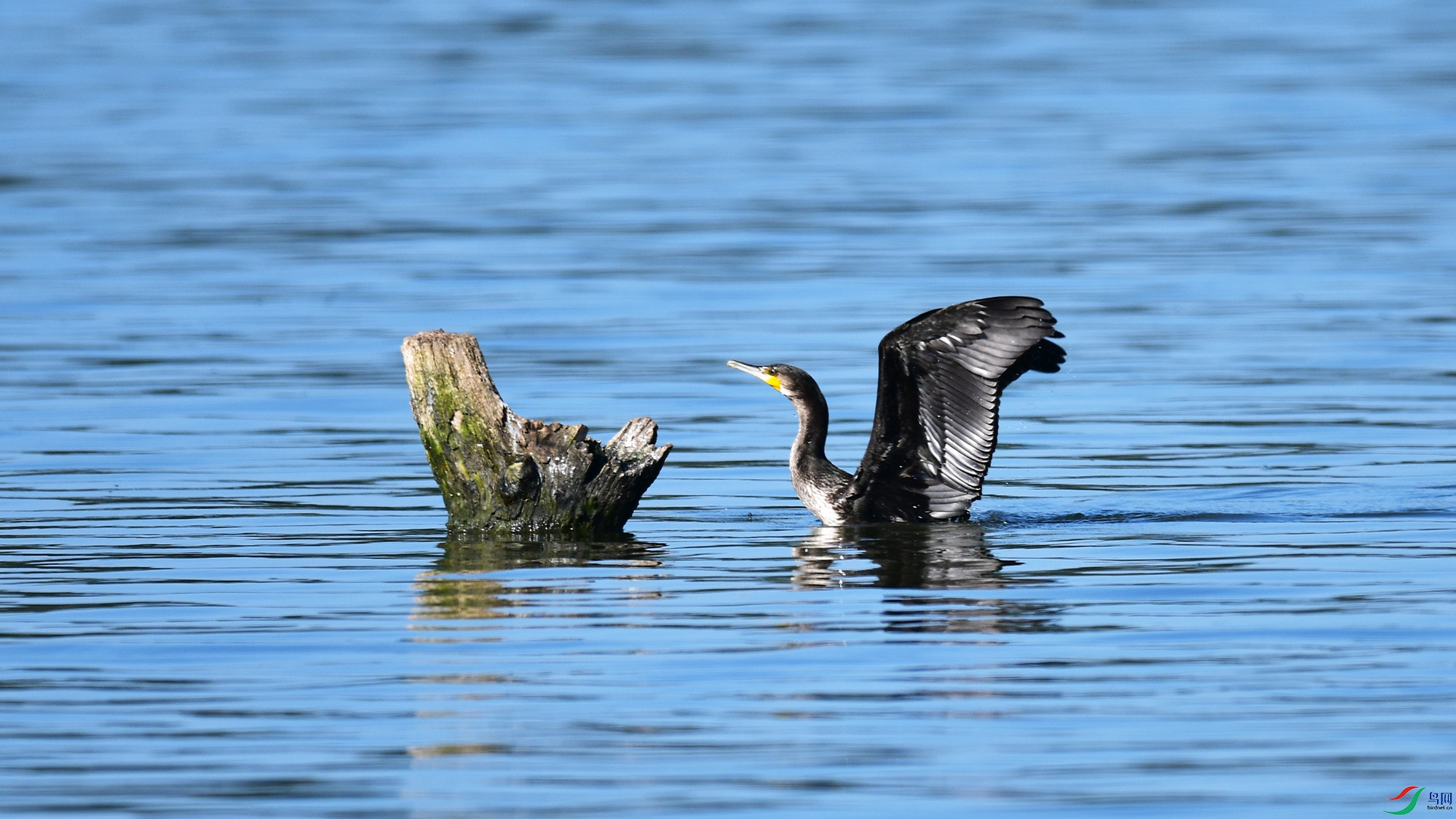 DSC_9735.jpg