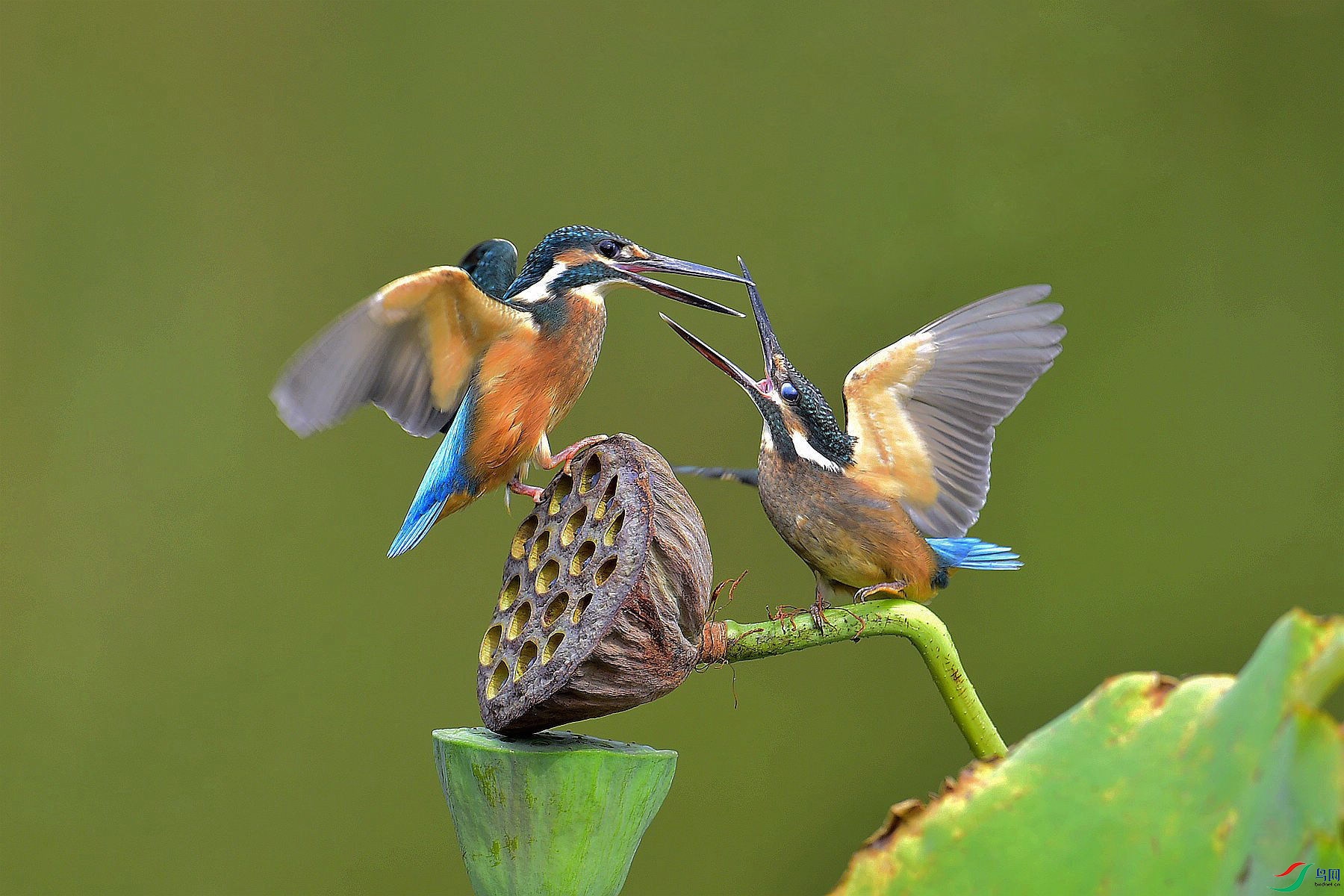 120210920192245 (3).jpg