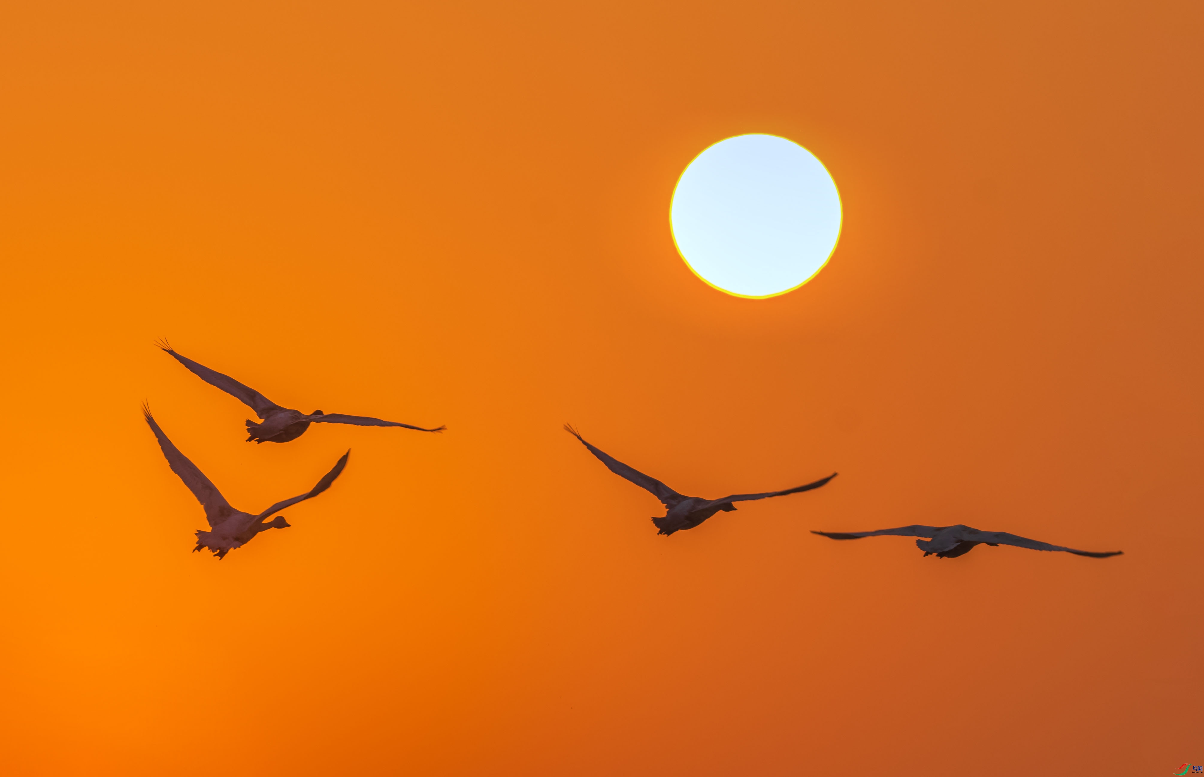 DSC_6607-1.jpg