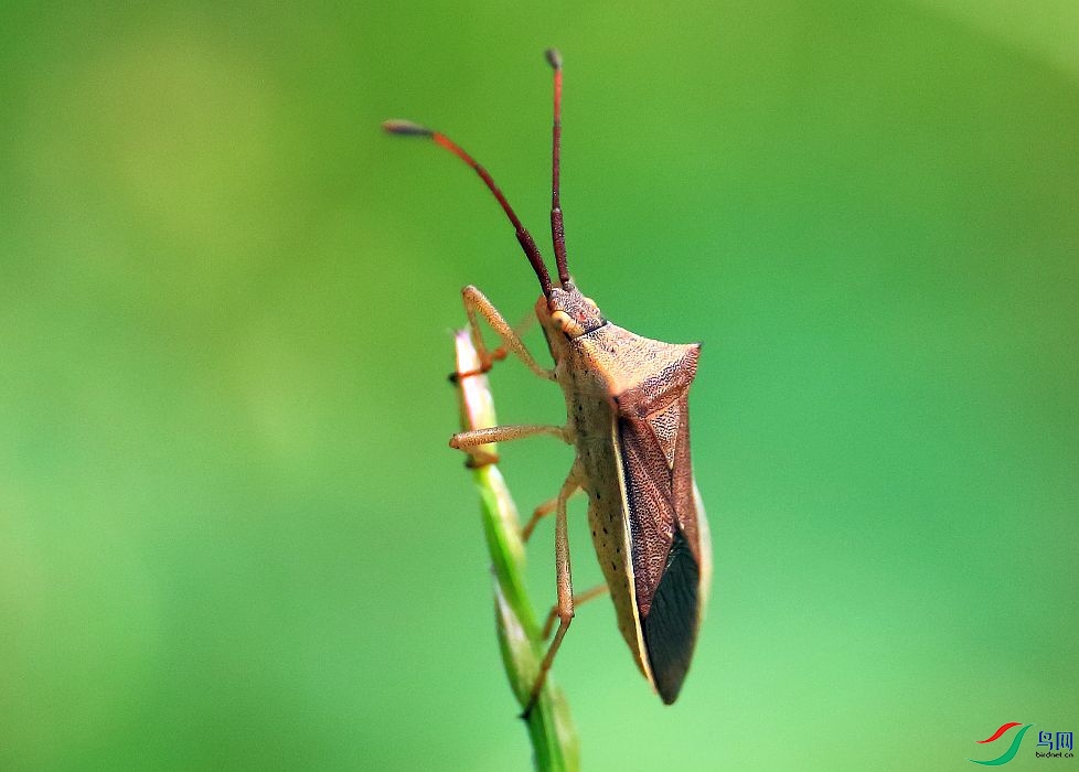 0E8A7202.JPG