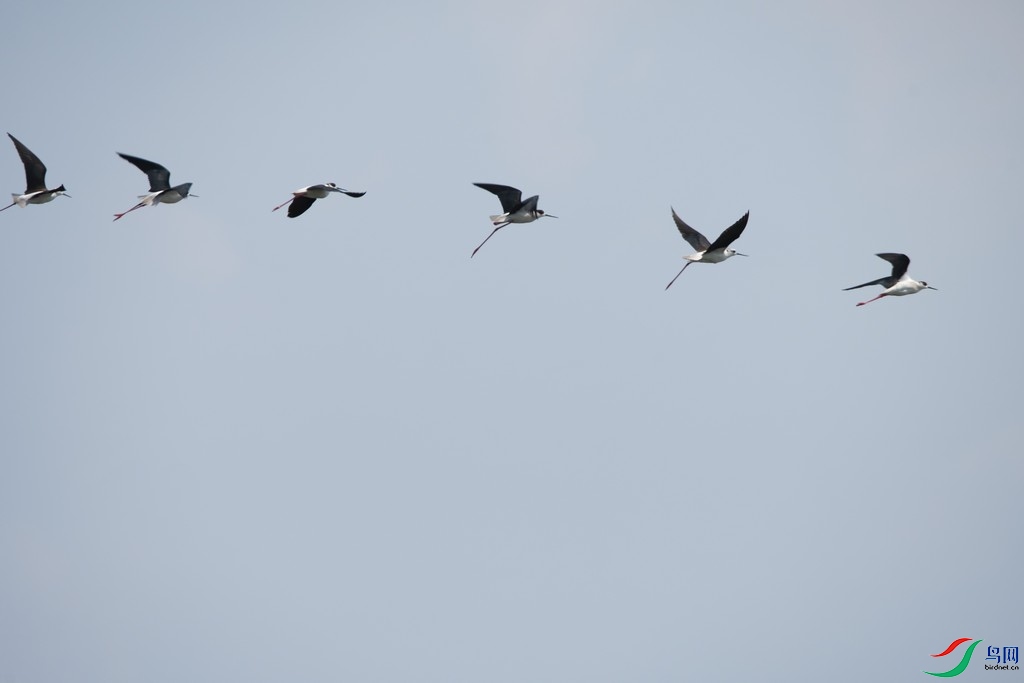 _DSC9613a.jpg