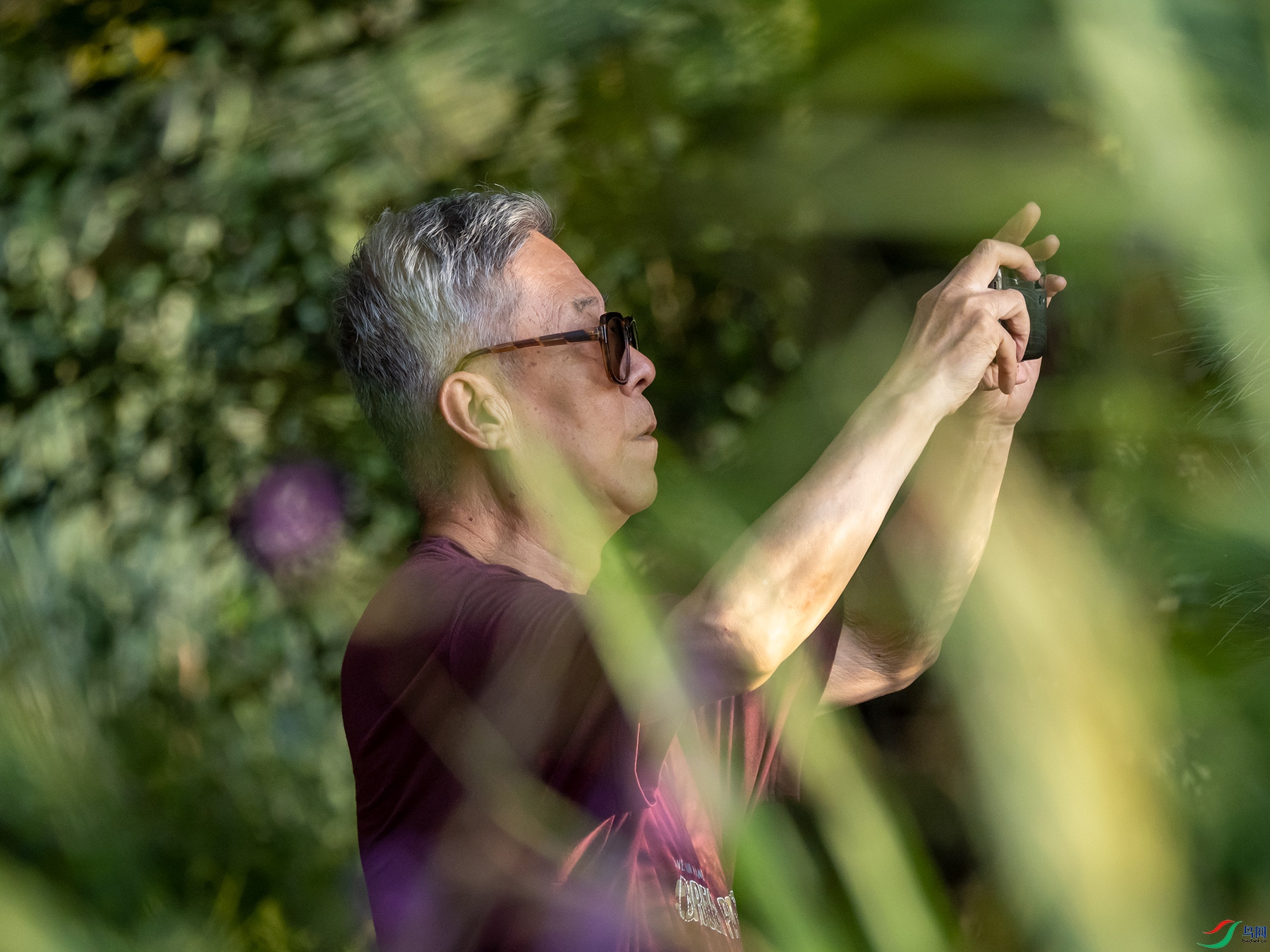 ��������