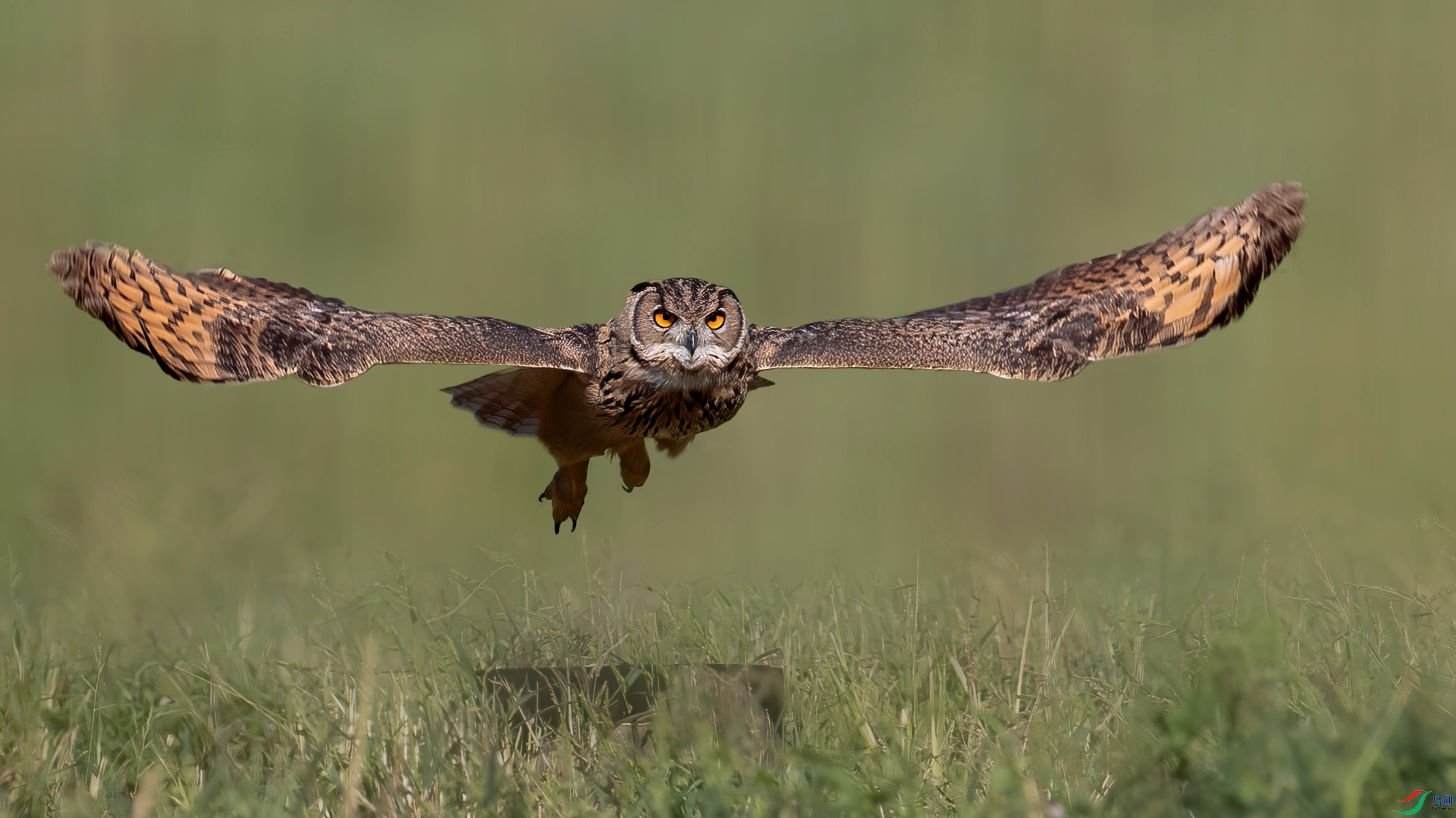 00001398 ���� 2.jpg