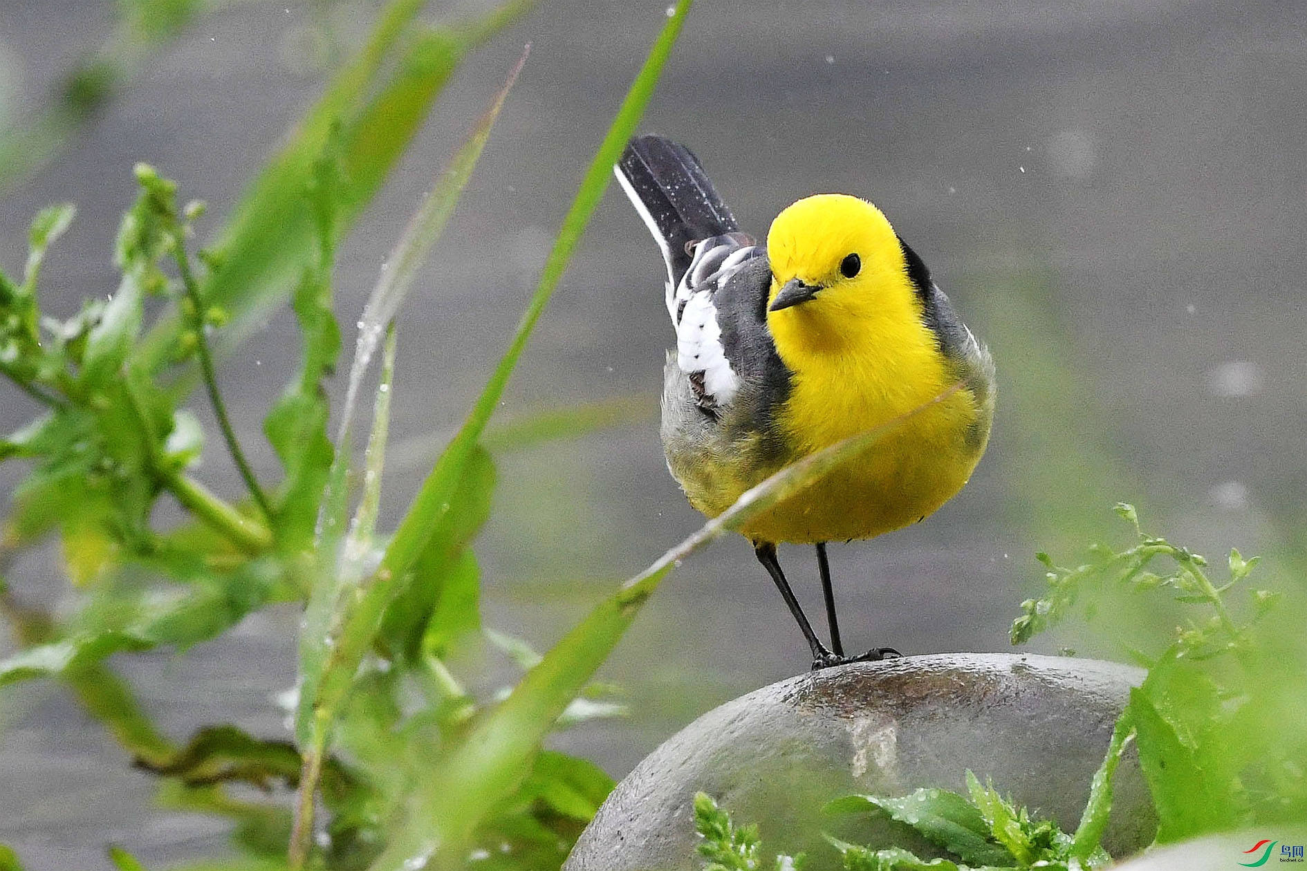 DSC_8865_����.jpg