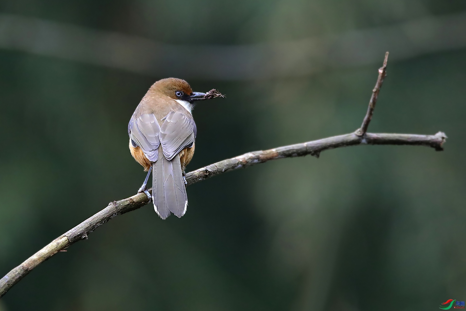 �����ҷ�  ��ʦ�������Ĵ�ʡ������������.jpg