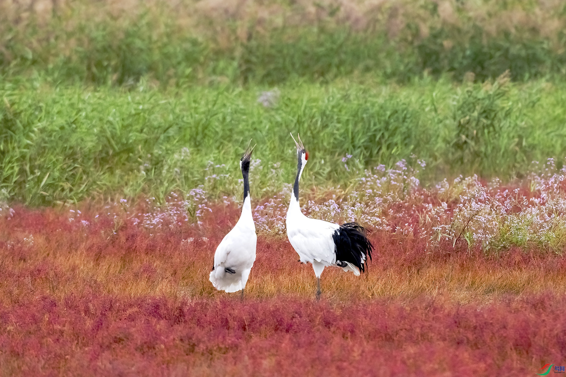 _DSC9892.jpg