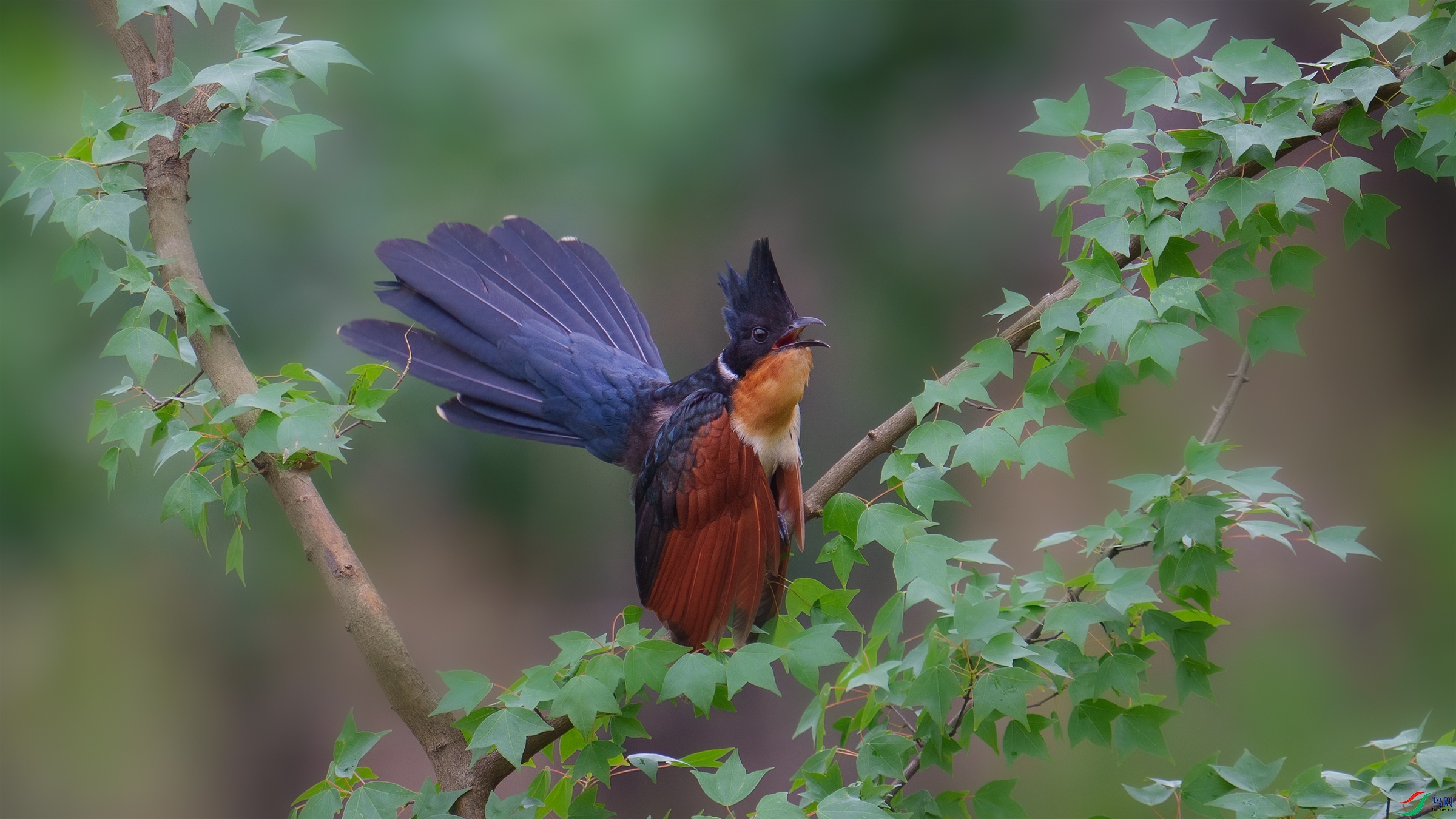 DSC07609-1.jpg