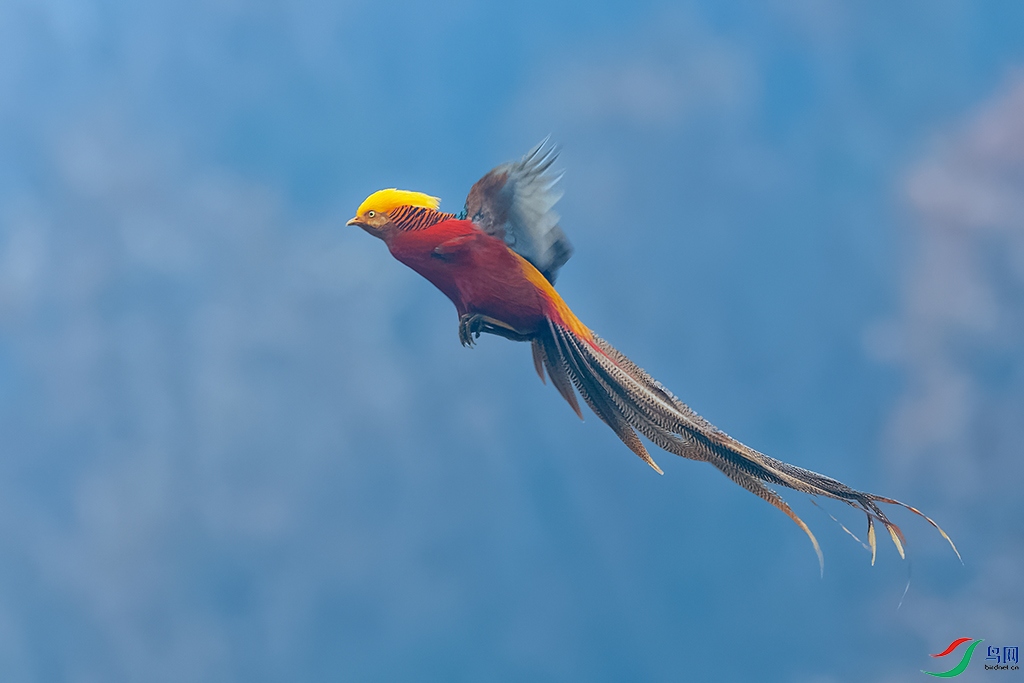 DSC_7690_DxOa.jpg