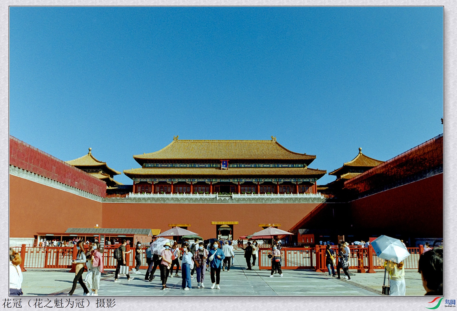 DSC_4417B-1_����.jpg