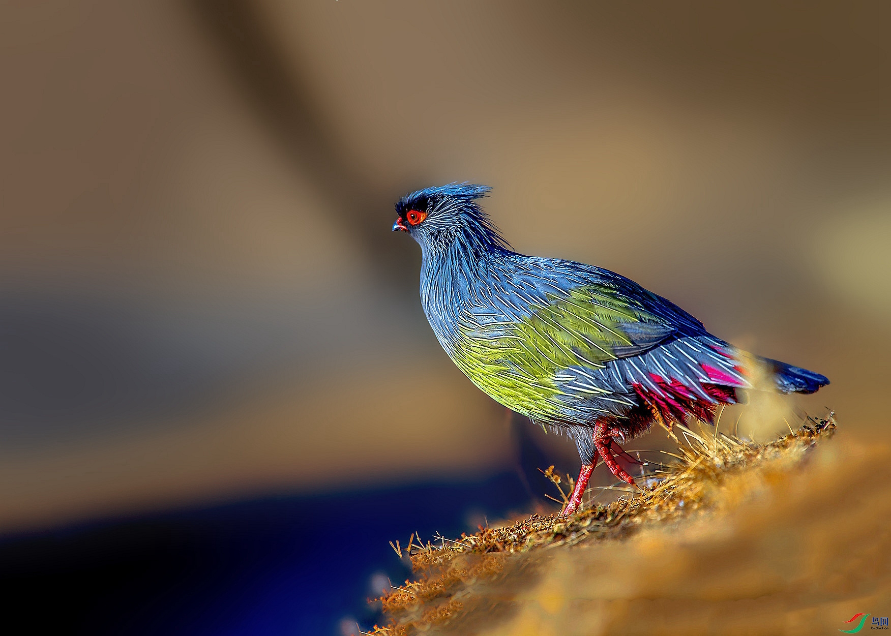 DSC_2570_���� (2)_����_����_����_����_����_����_����.jpg