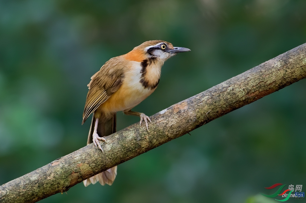 ϣ��  ��ʦ������̩��.jpg