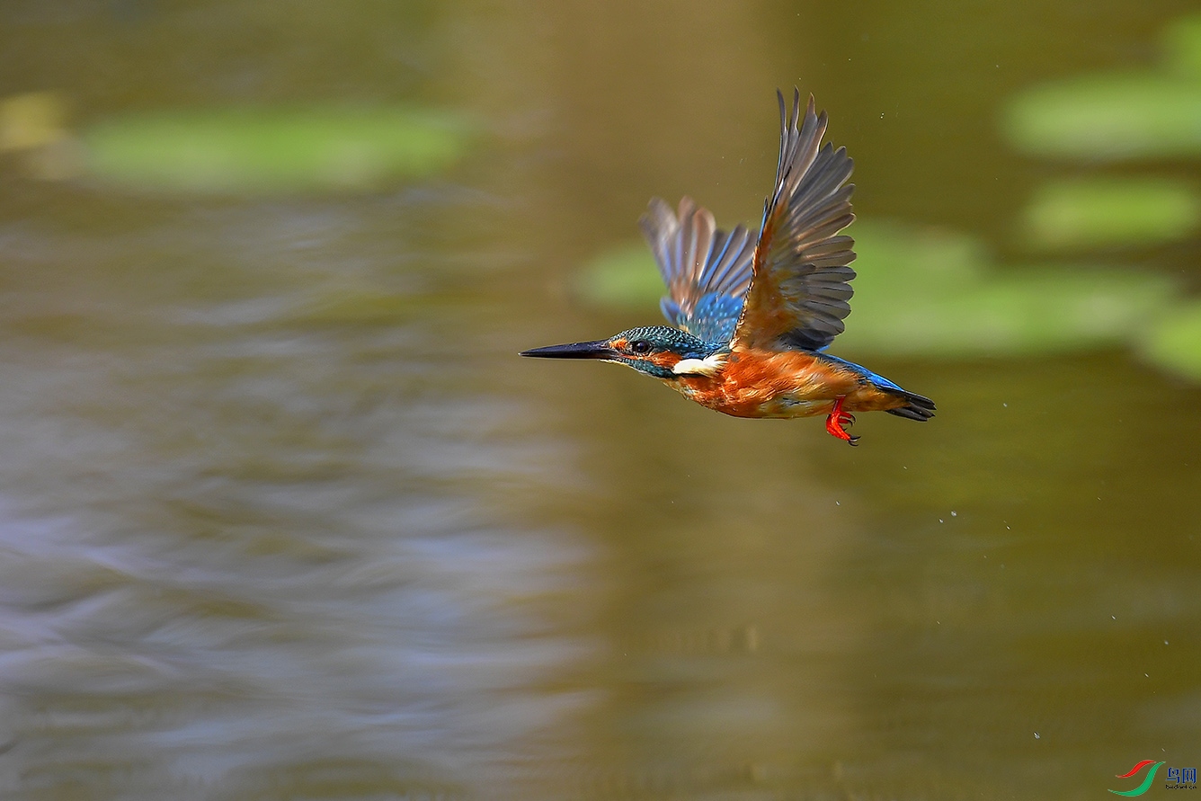 AAA_2058-2.jpg