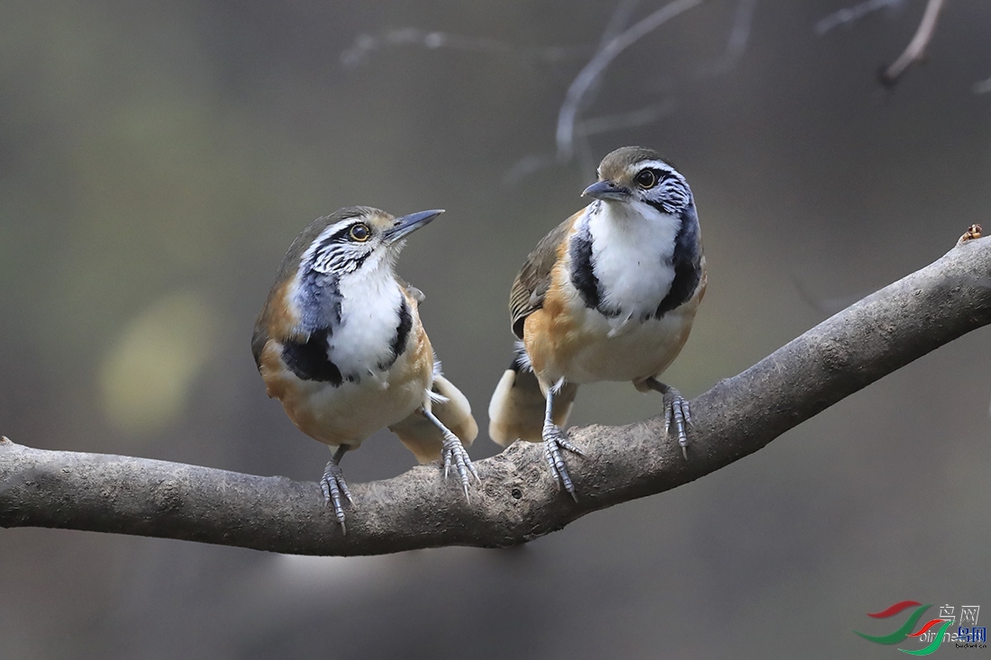 ��Ի  ��ʦ�����ں���ʡ��������ɽ��.jpg