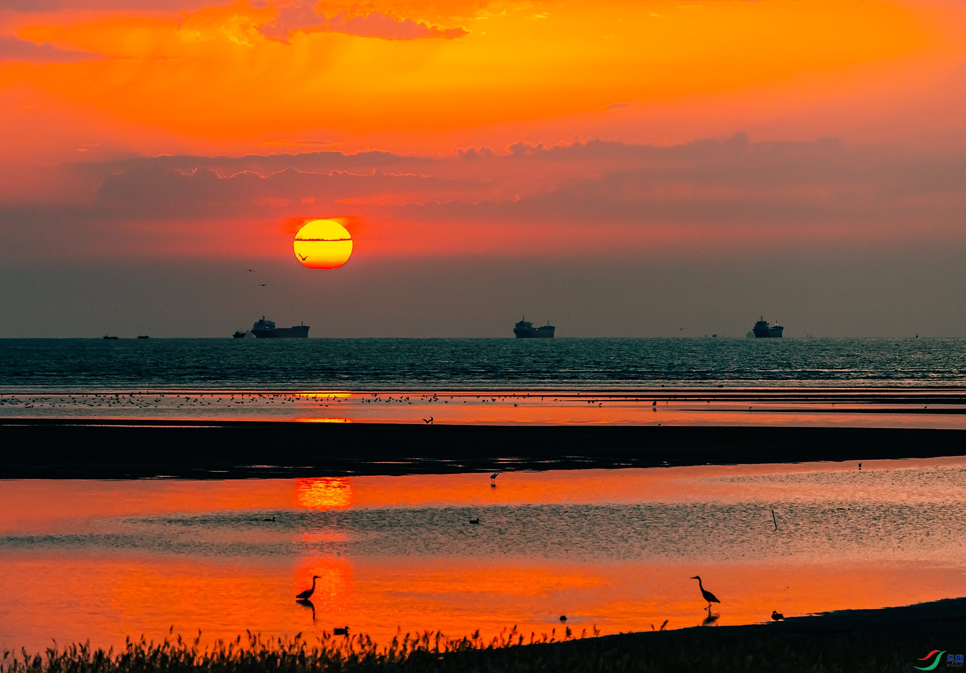 DSC_1155.jpg