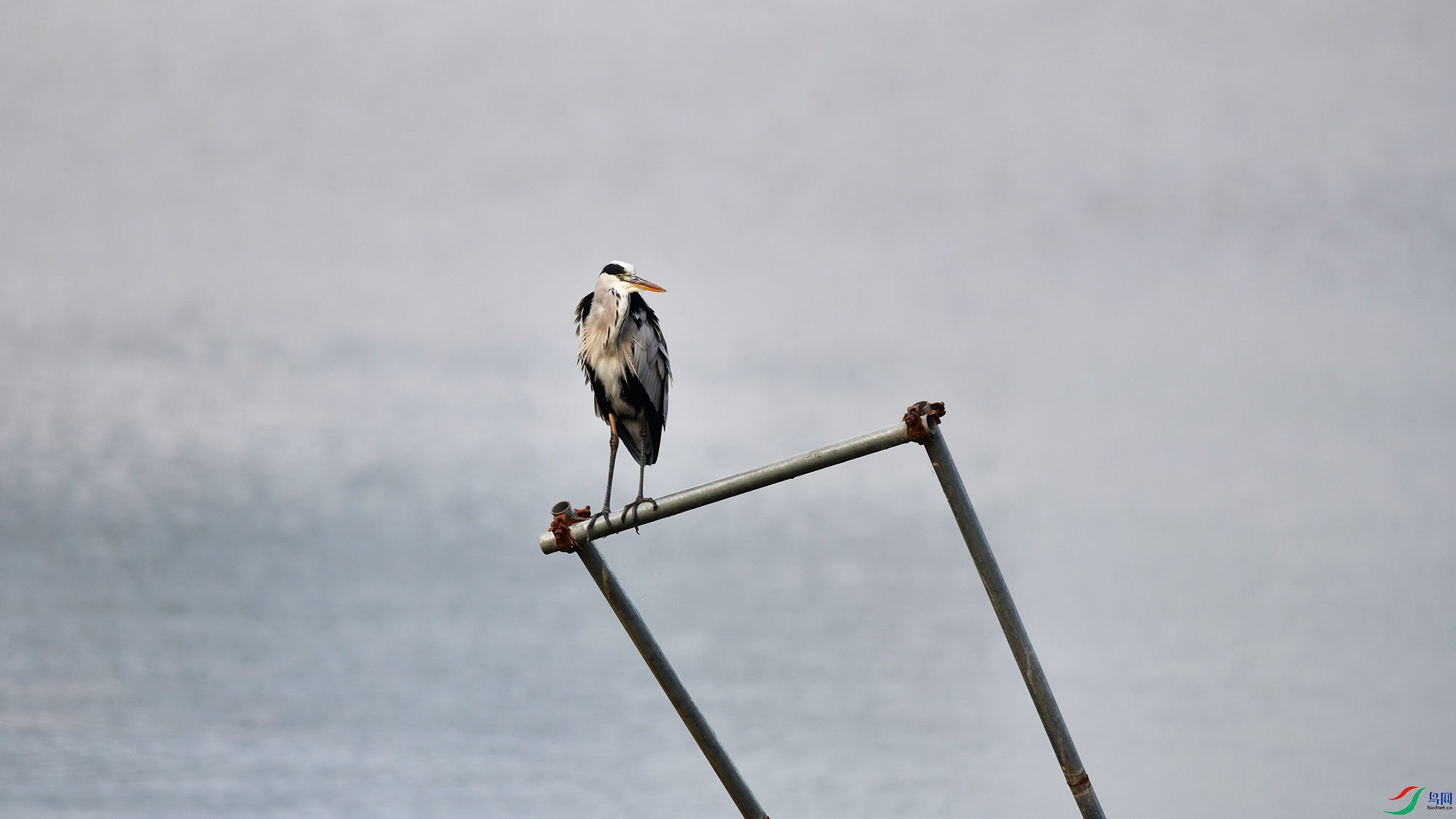 DSC_0695.jpg
