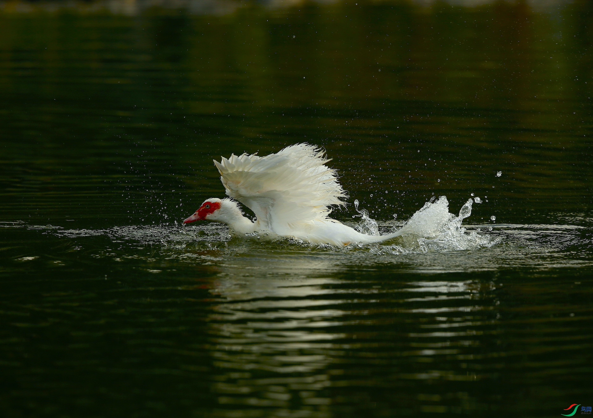 �����Ѽ 003.jpg