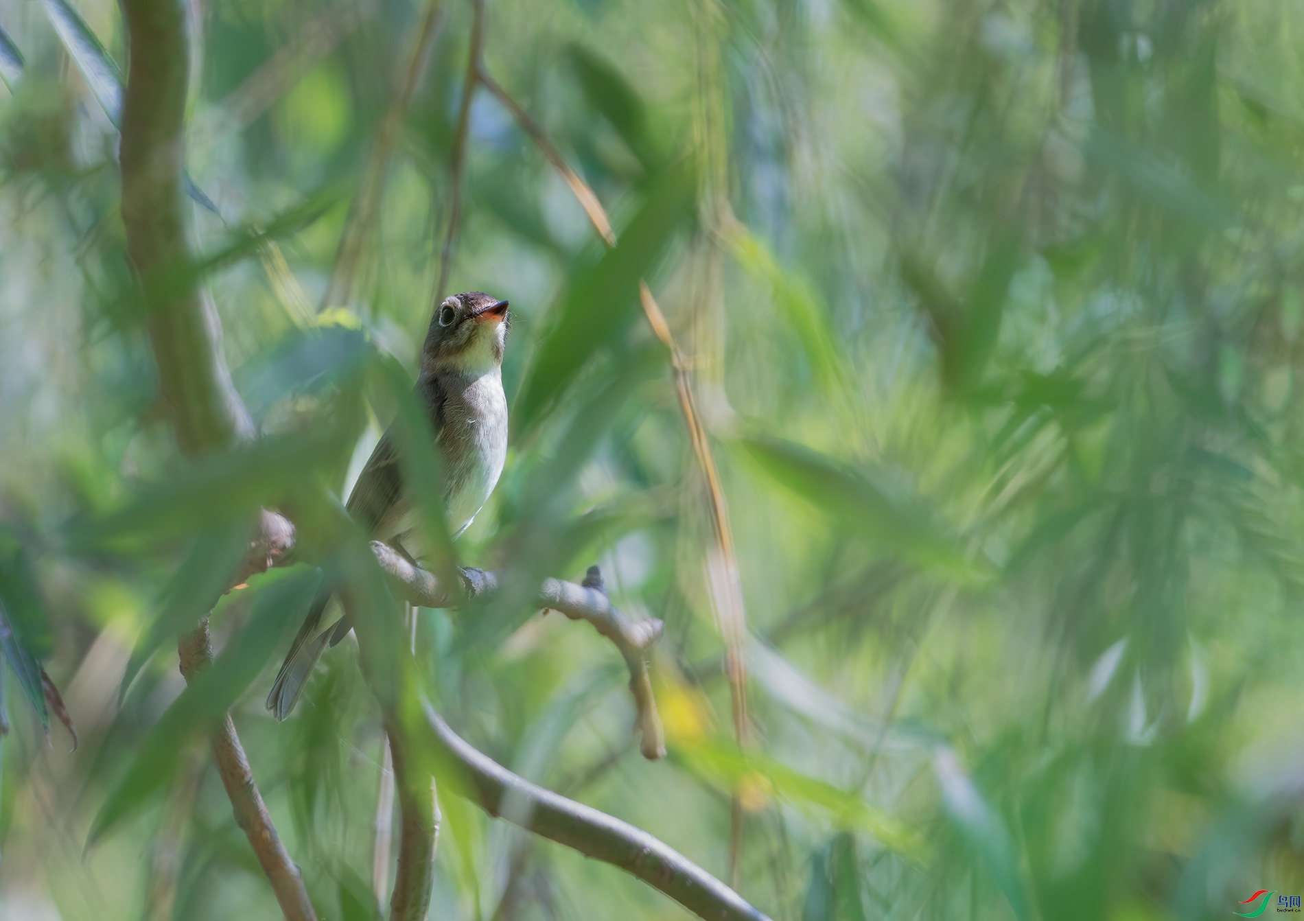 DSC_3782.jpg