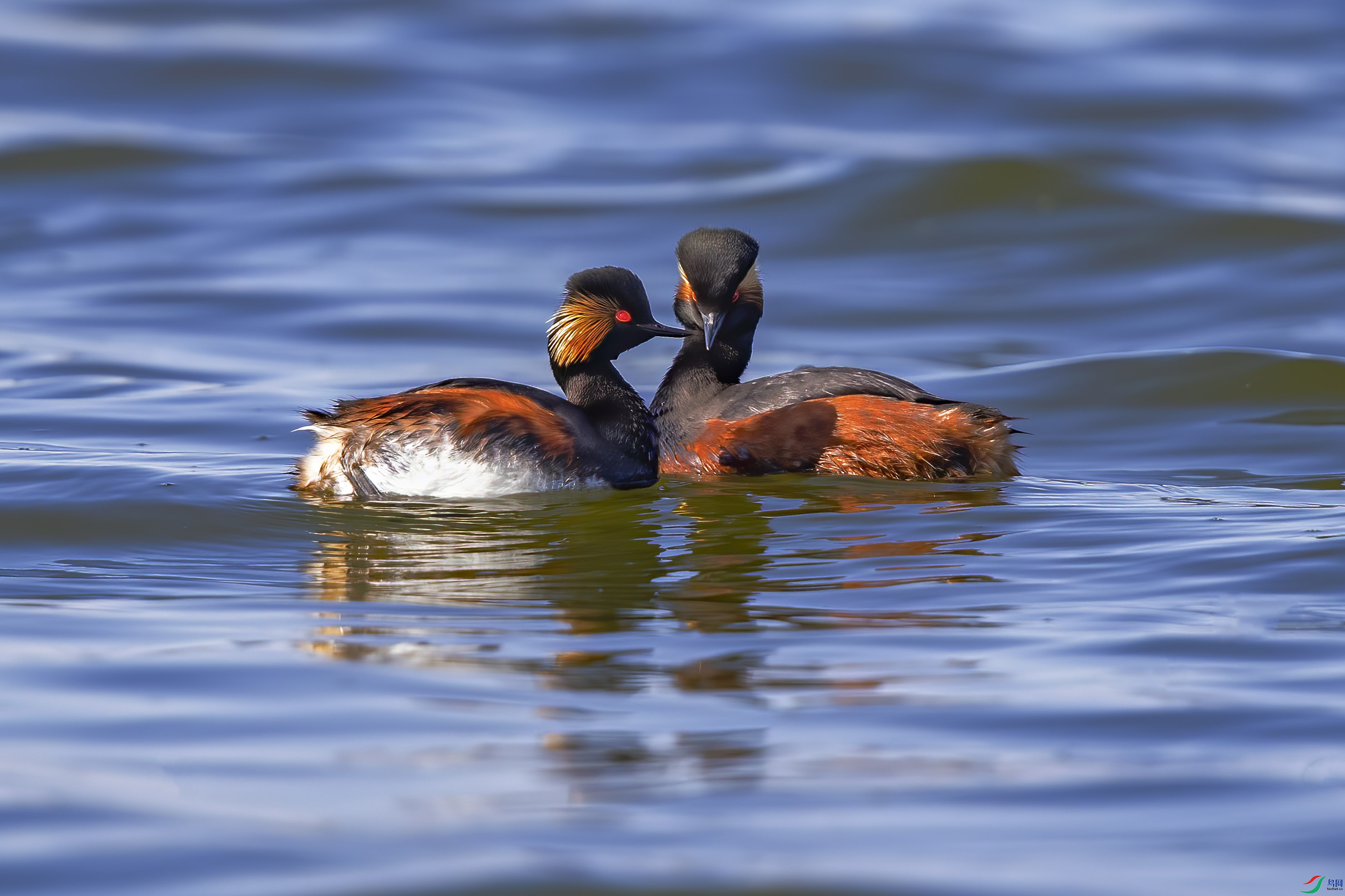 A95I2301 ���� 2.jpg