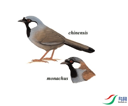 �ޱ���.jpg