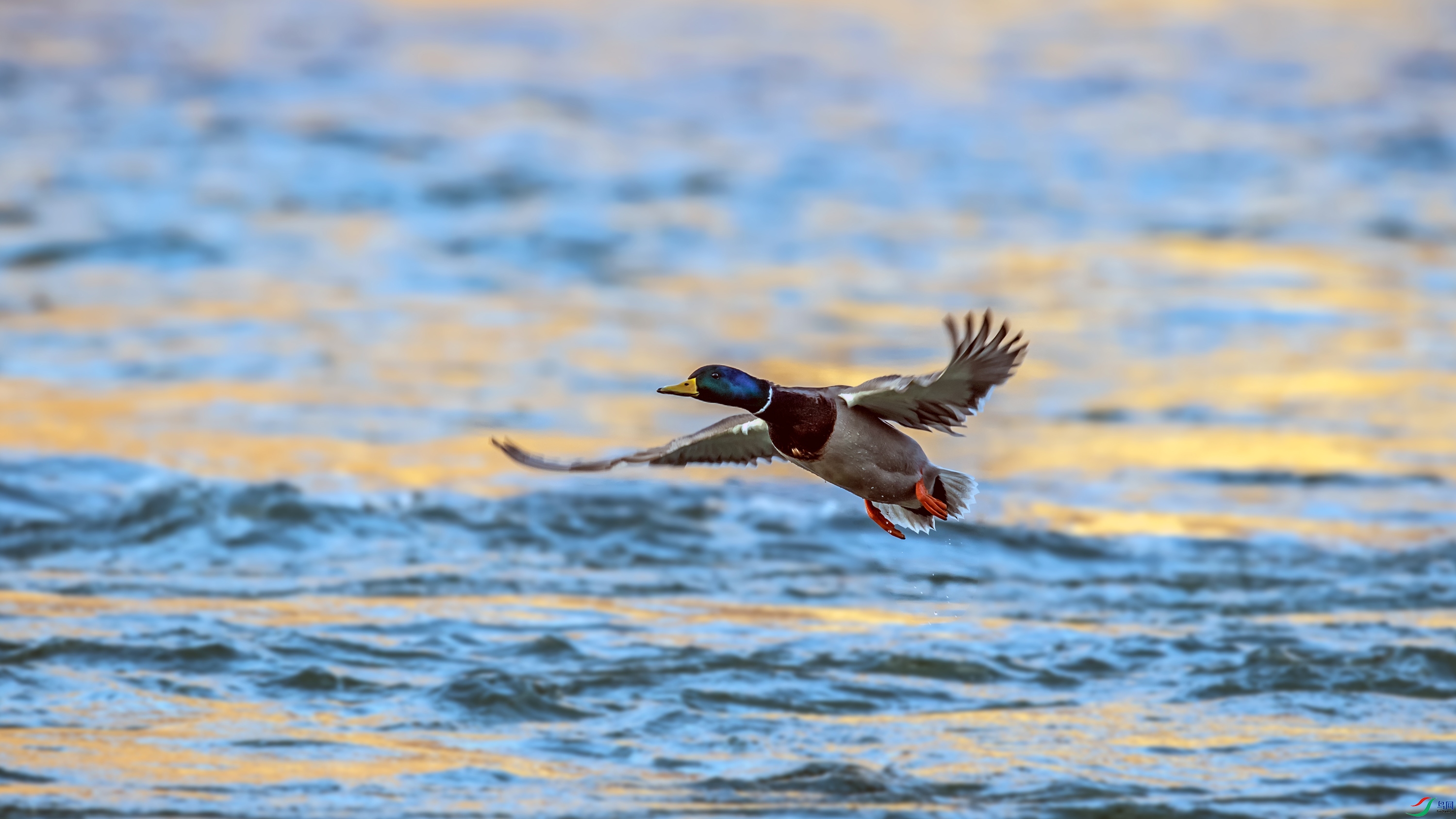_DSC4087_��ͼ��.jpg--W.jpg