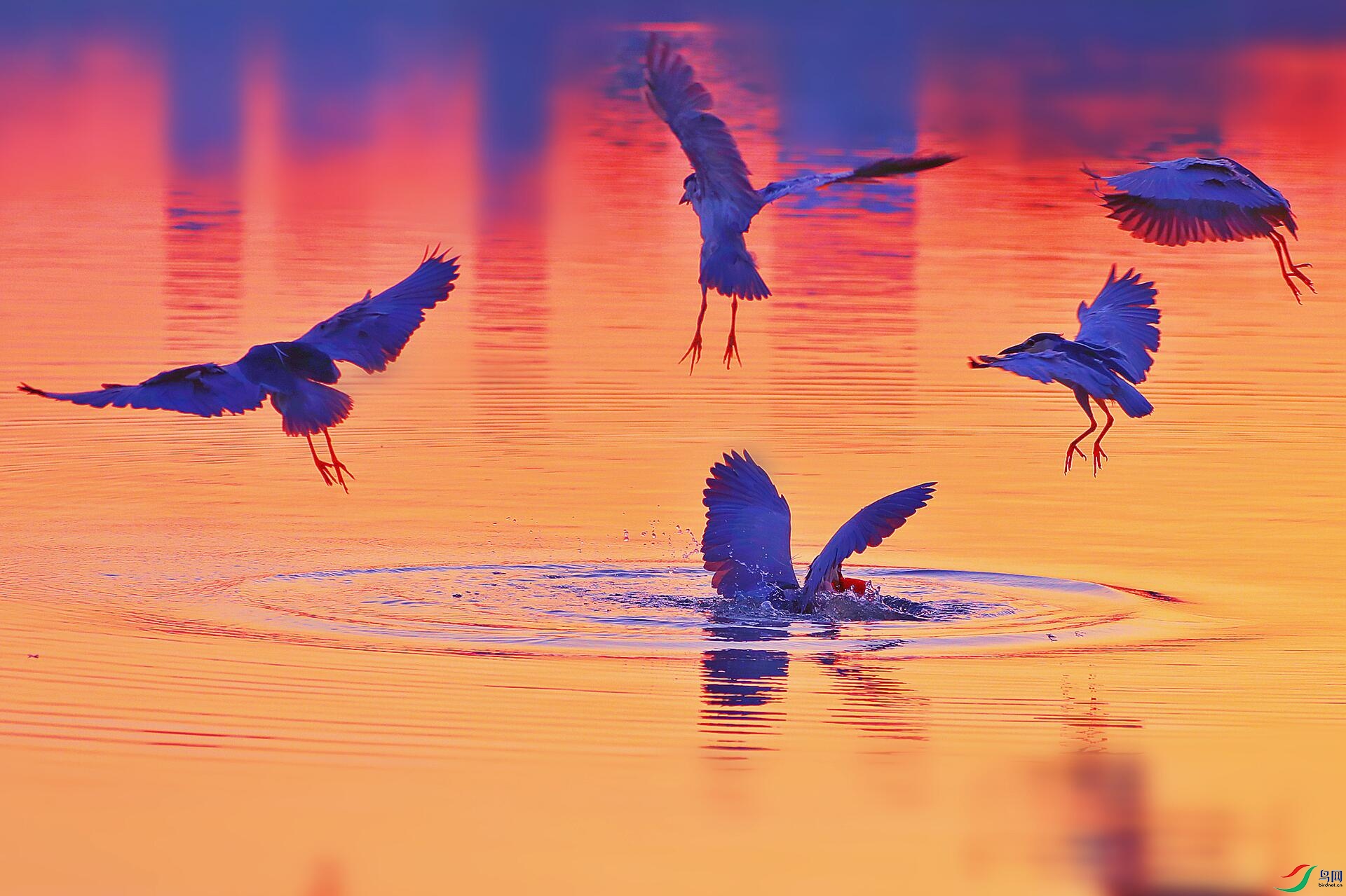 AS8I0657_����.jpg