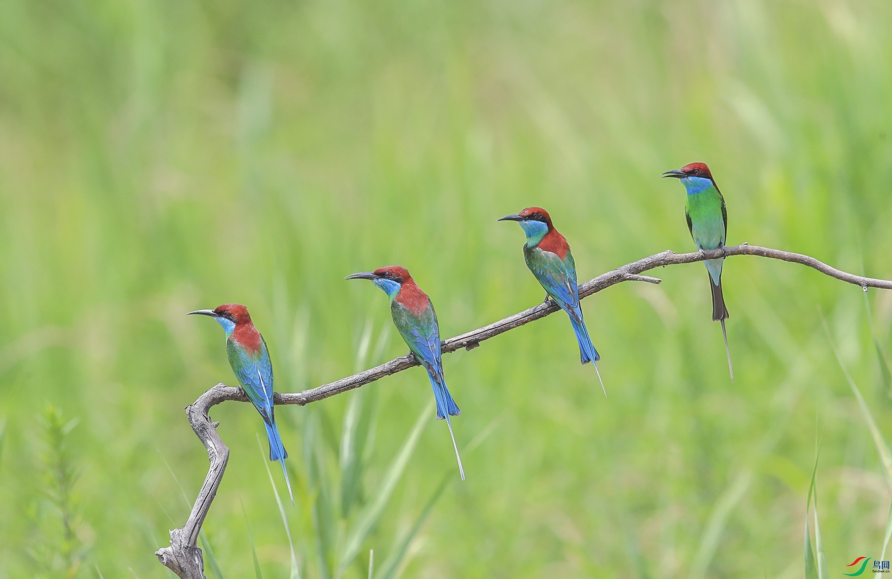 BT1I0001=-- ===(3).jpg