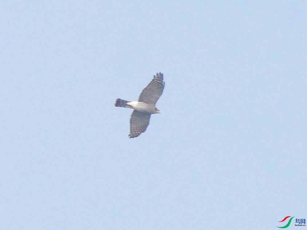 P7230132 - ����.JPG