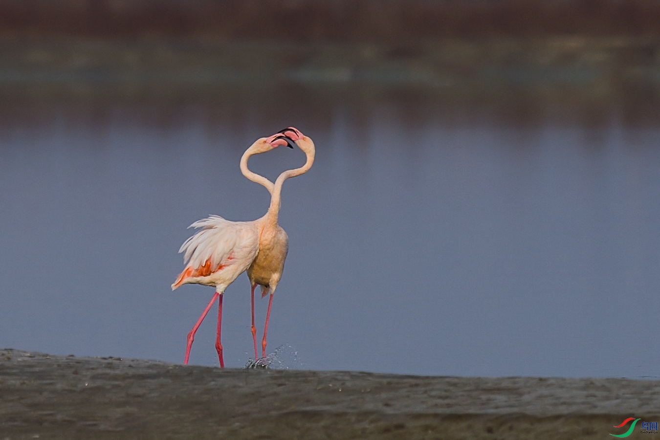 XCG1_7493 - ����.jpg