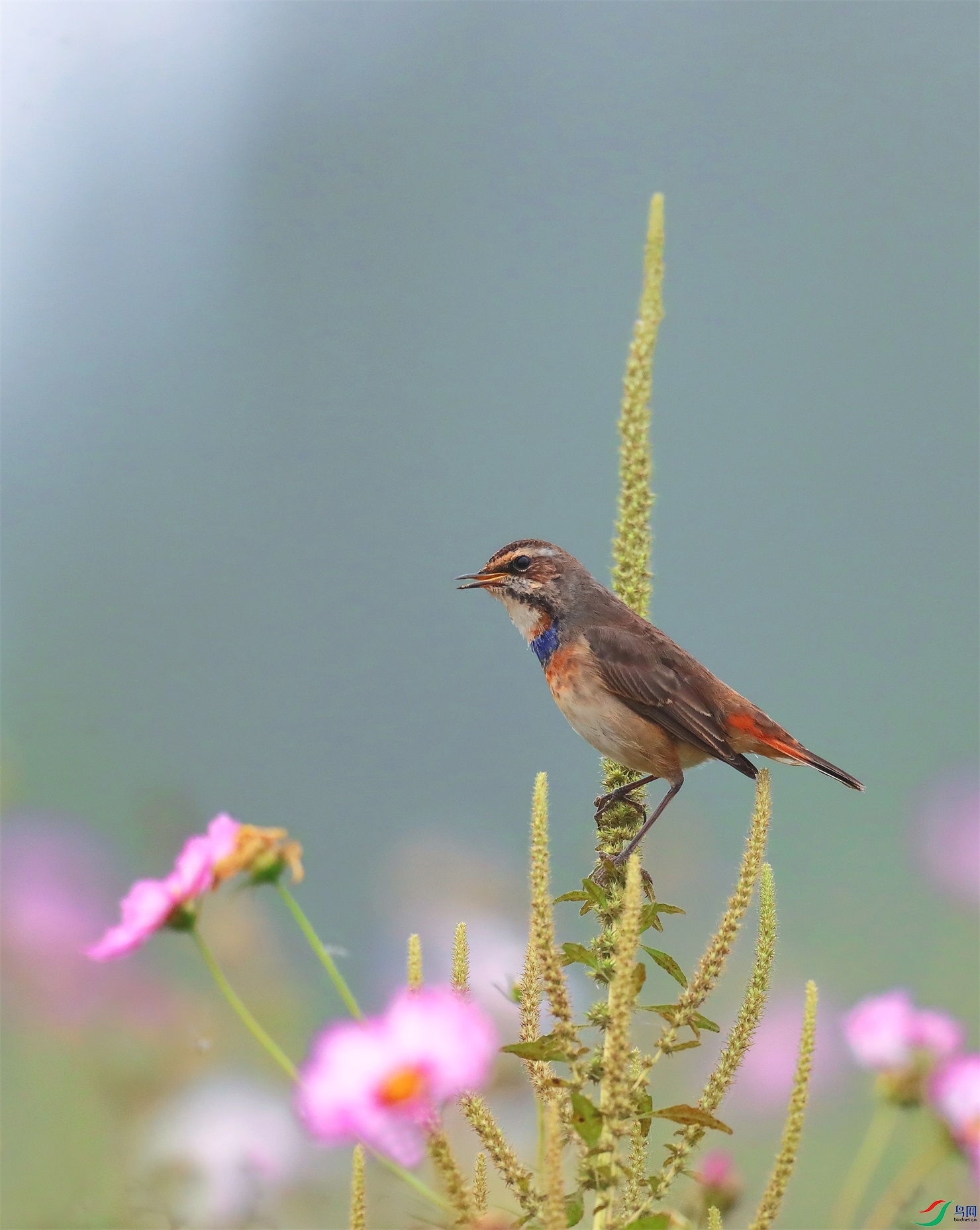 3 - ����.JPG