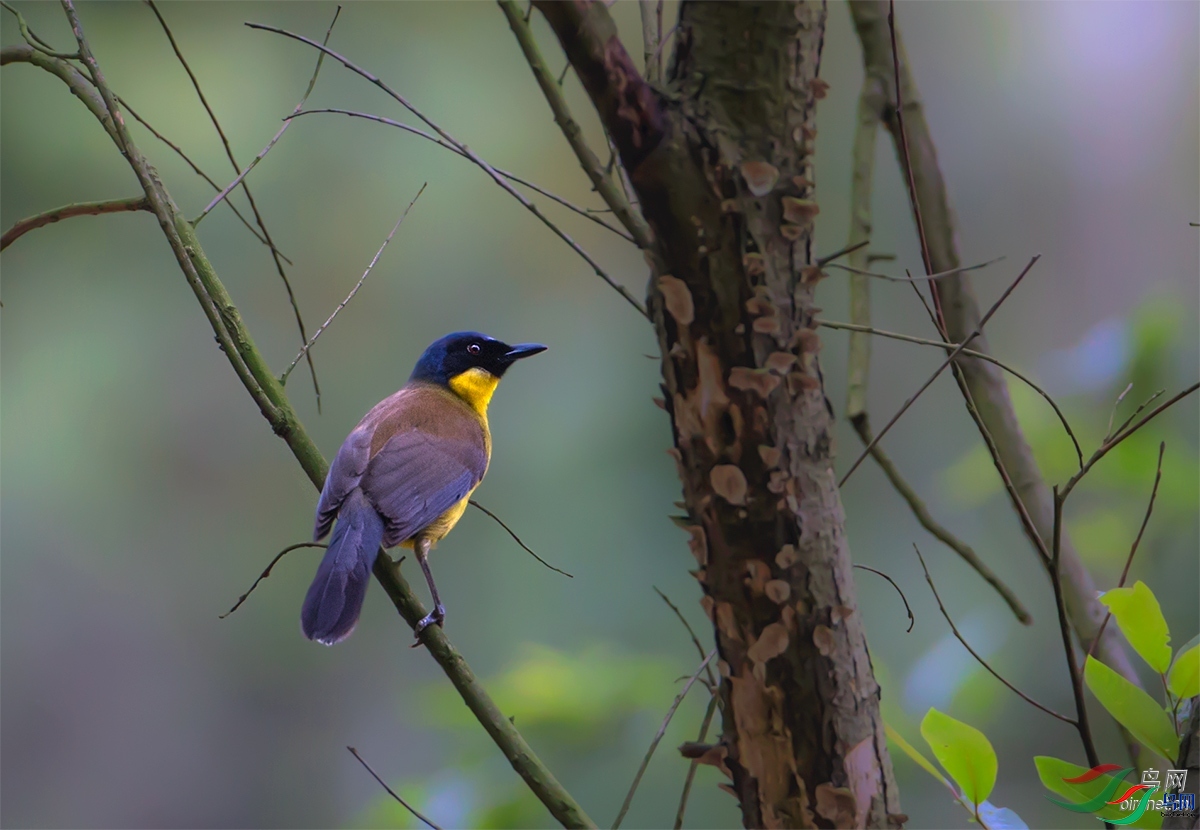 ����  ��ʦ�����ڽ���ʡ��������.jpg