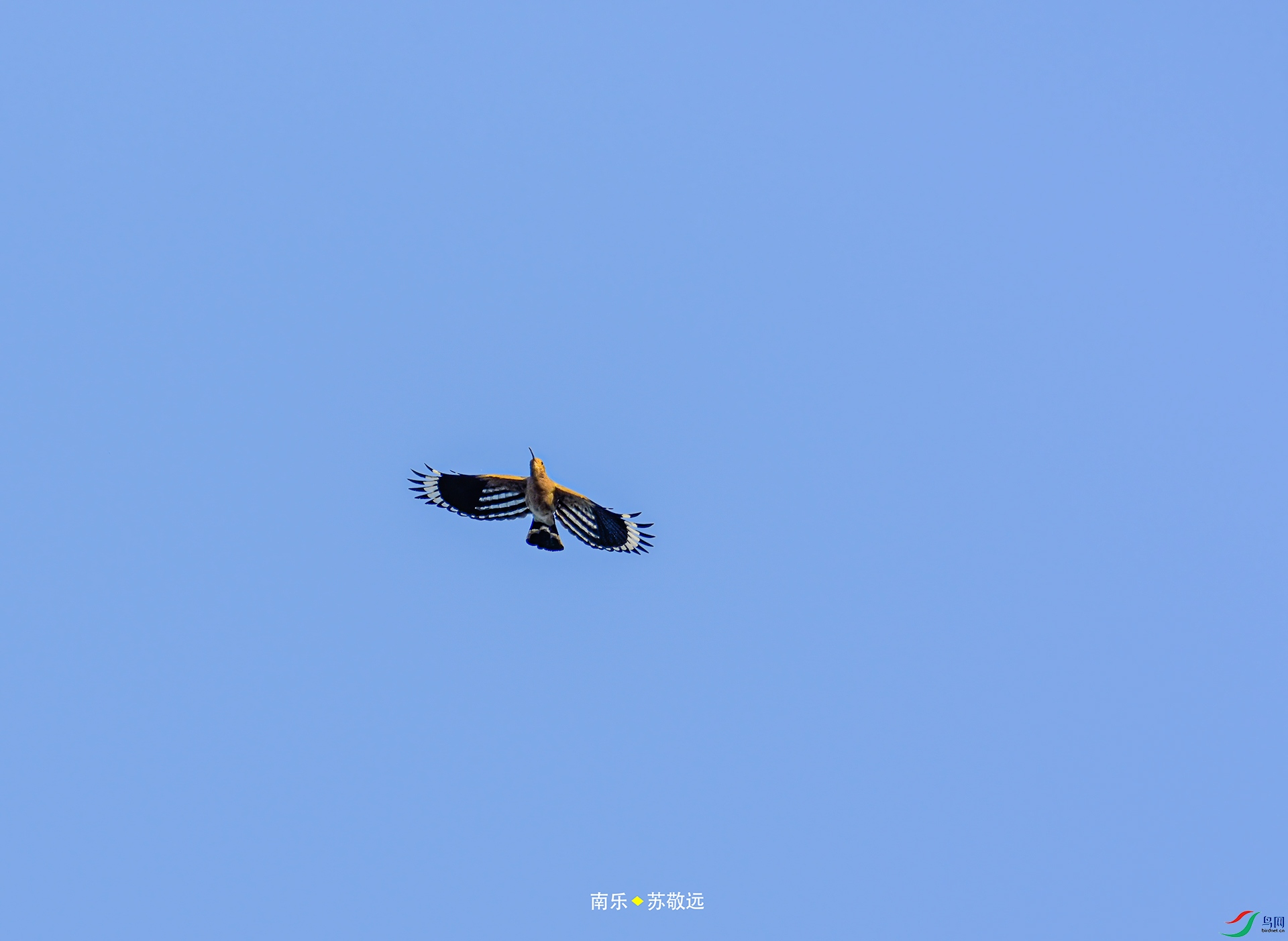 _DSC5823С.jpg
