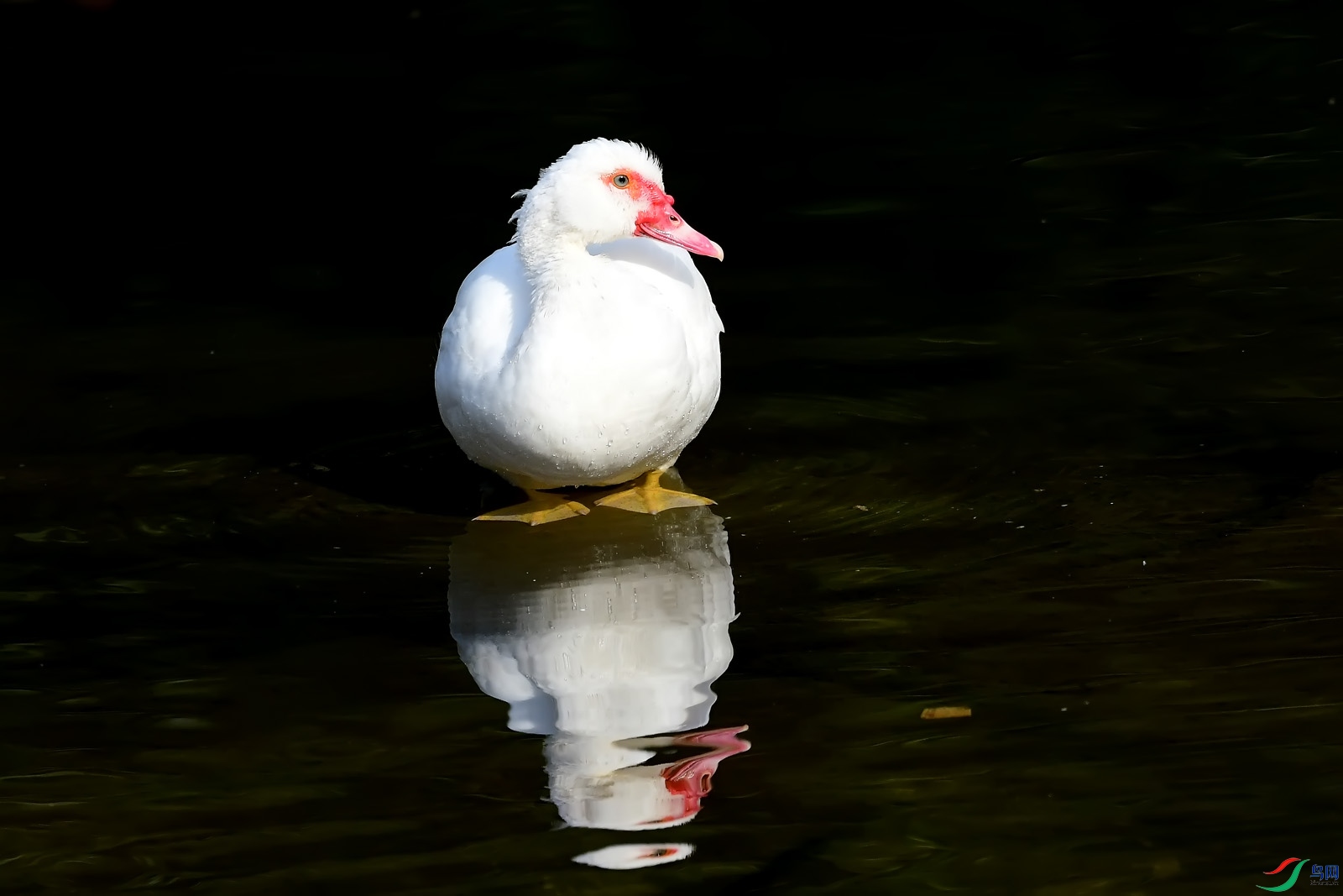 DSC_8193.jpg