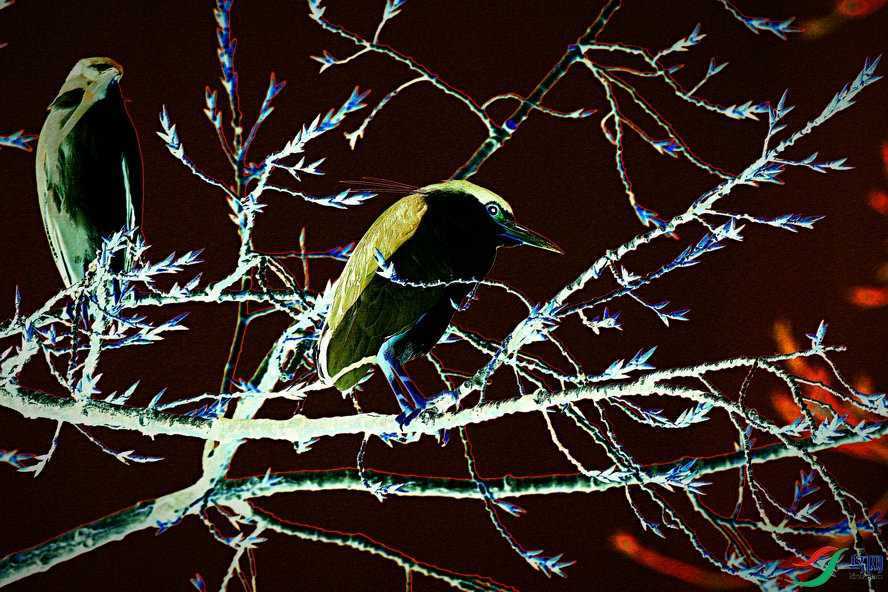 4K0A0018_����_����1_����.jpg