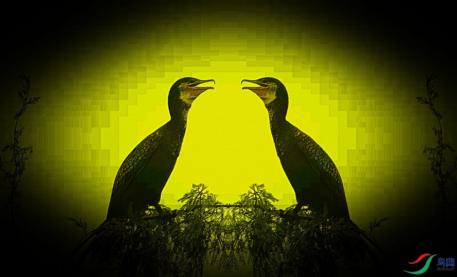 4K0A0360_����_����2.jpg