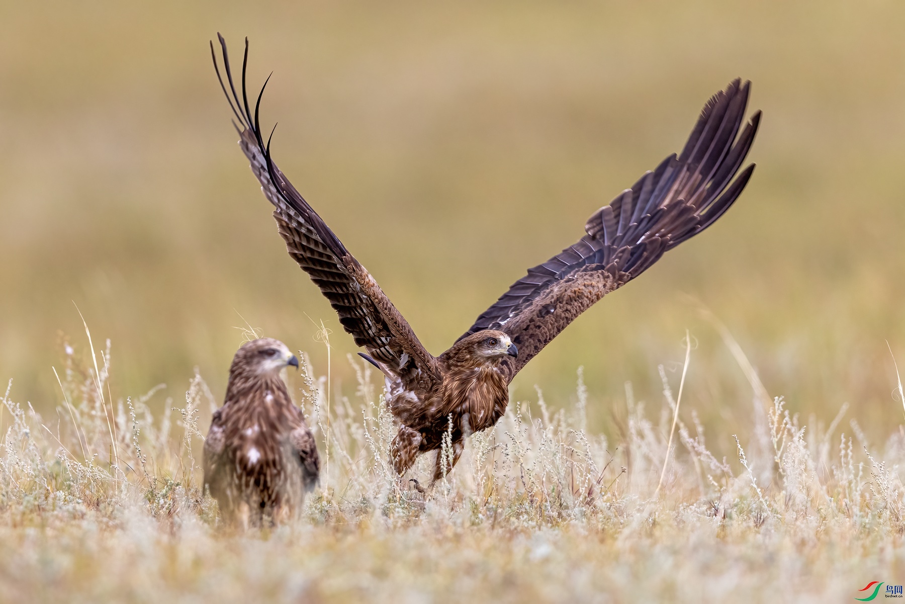 274A1876 ����_����.jpg