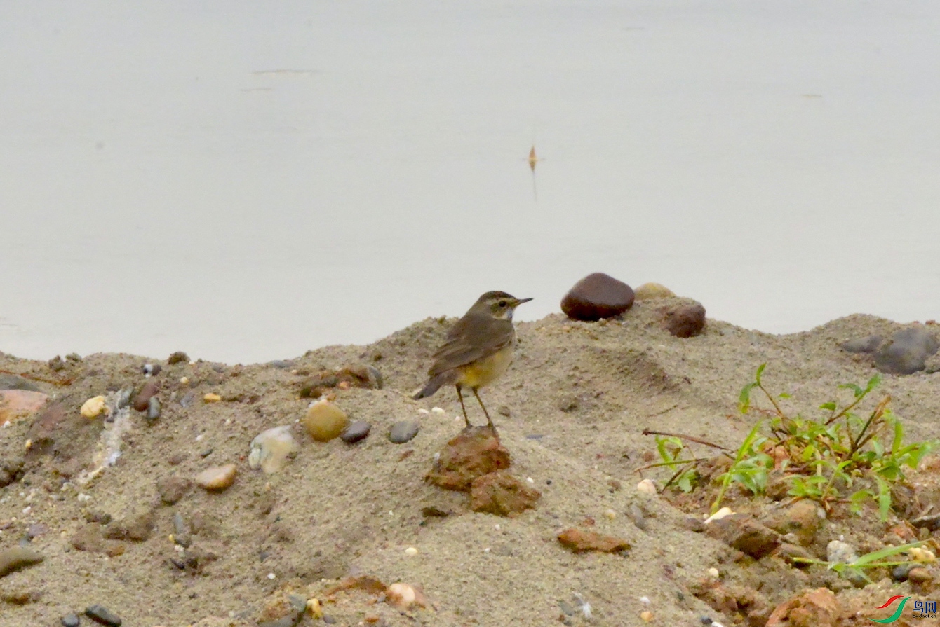 ������β�