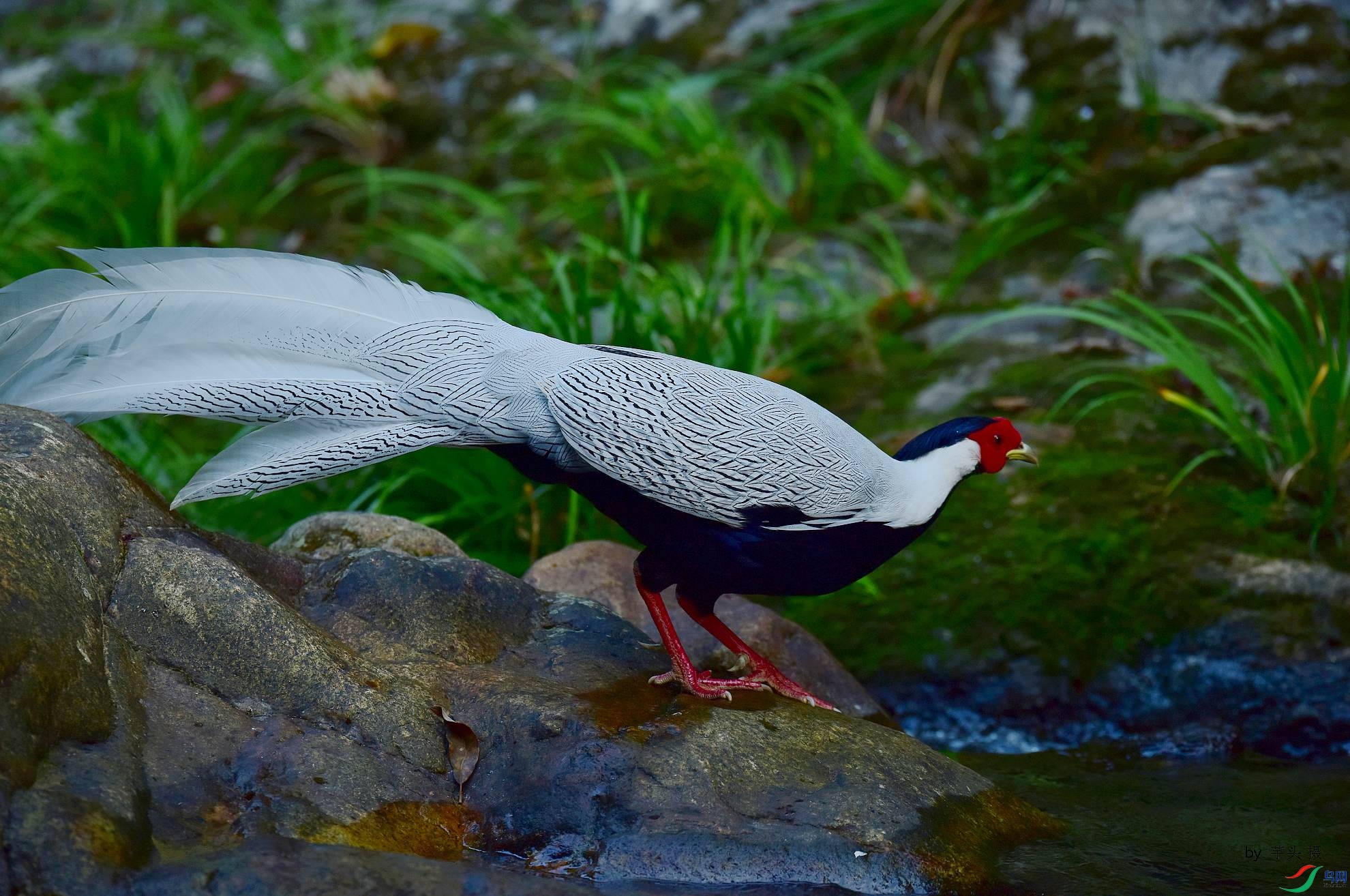 D8I_6701.jpg