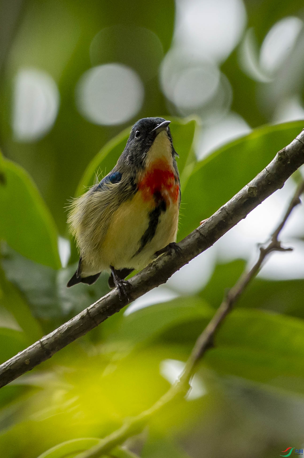 DSC_6362b.jpg