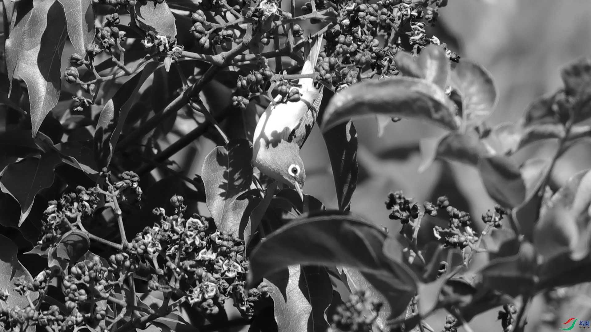 ���ҽ���