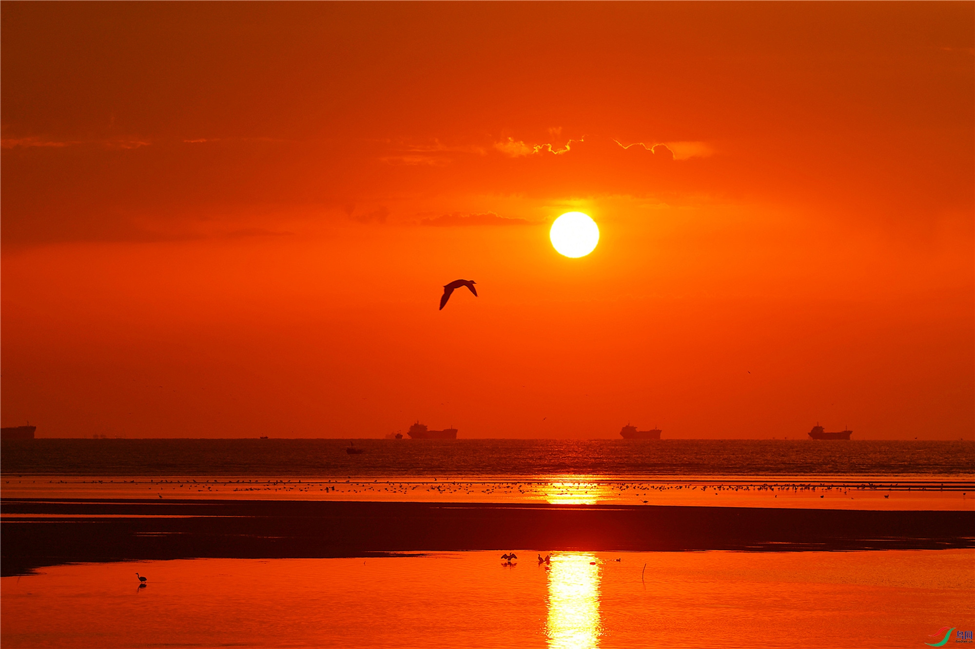 DSC_7987.JPG